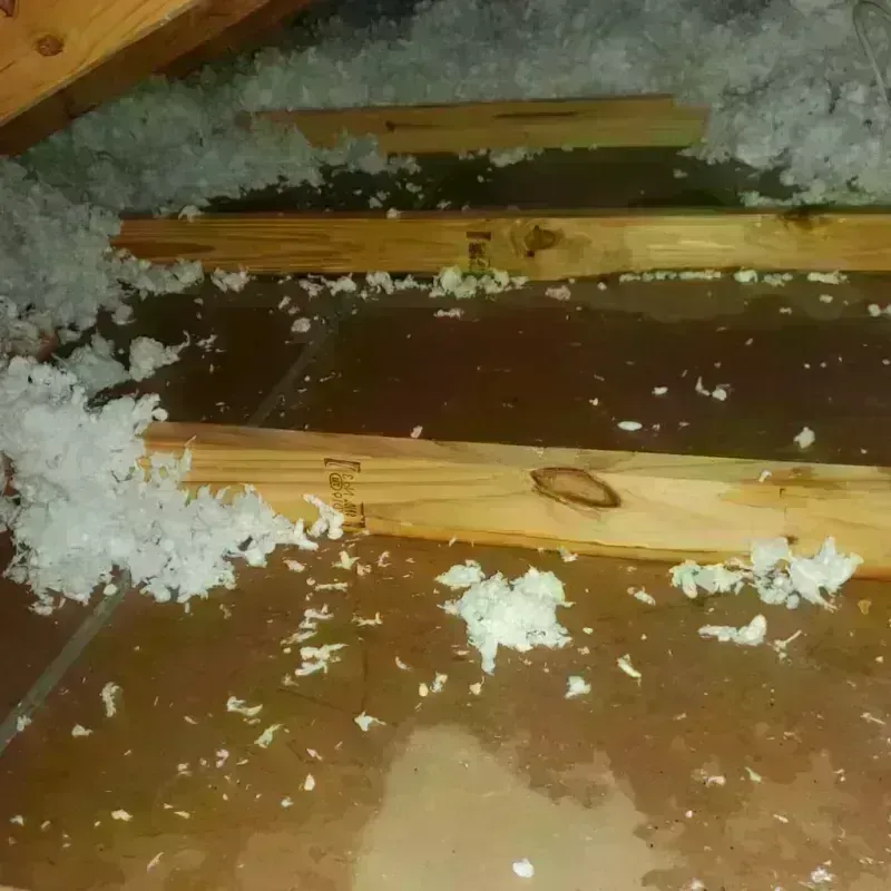 Attic Water Damage in Bevent, WI