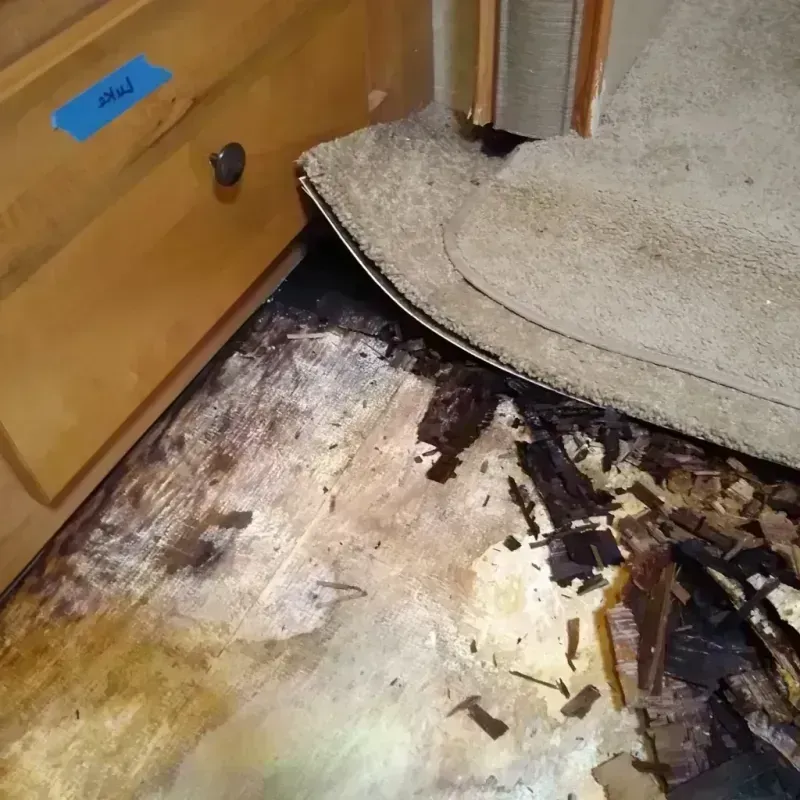 Wood Floor Water Damage in Bevent, WI